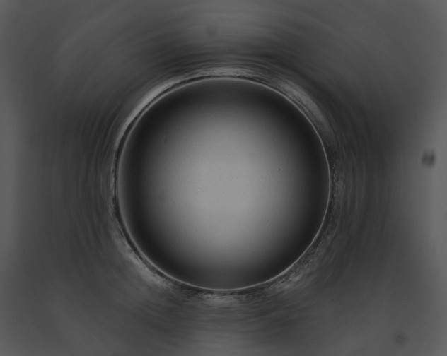 X0000091690852200708301539