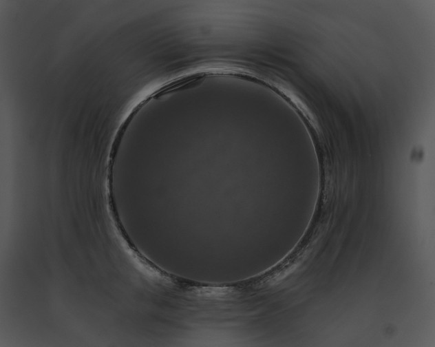 X0000091690853200708301539