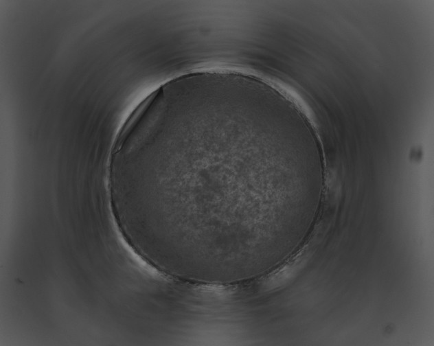 X0000091690855200708301539