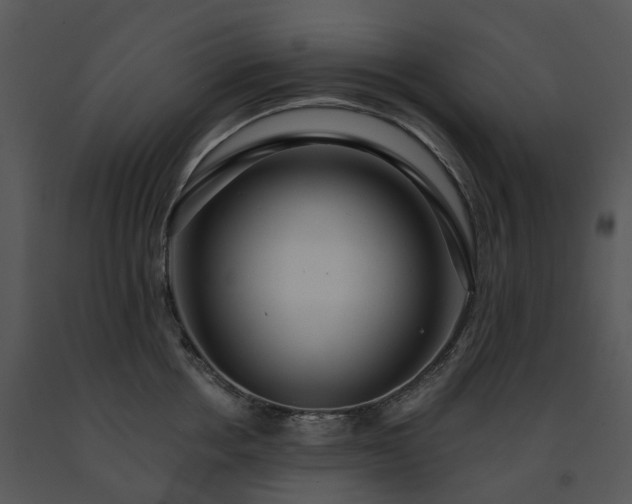 X0000091690858200708301539