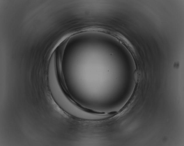 X0000091690860200708301539