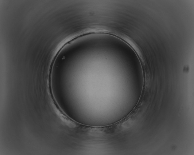 X0000091690861200708301539