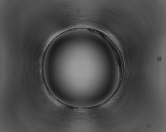 X0000091690862200708301539
