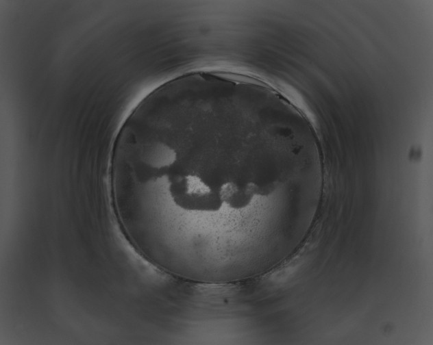 X0000091690863200708301539