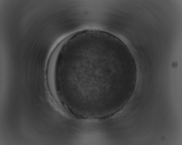 X0000091690864200708301539