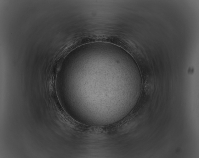 X0000091690866200708301538