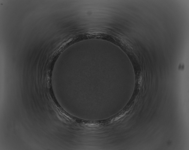 X0000091690868200708301538