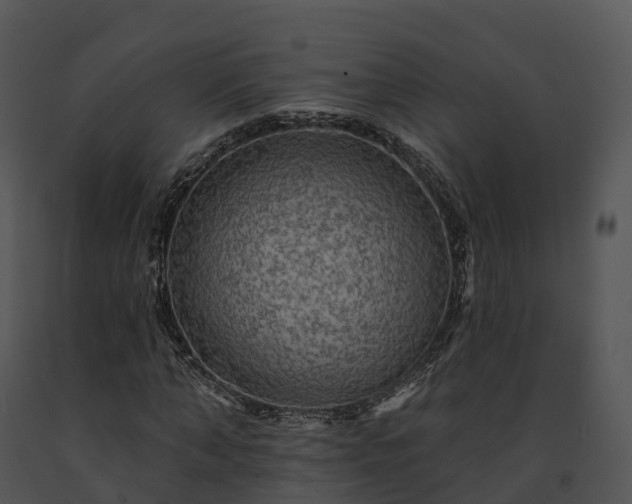 X0000091690870200708301538
