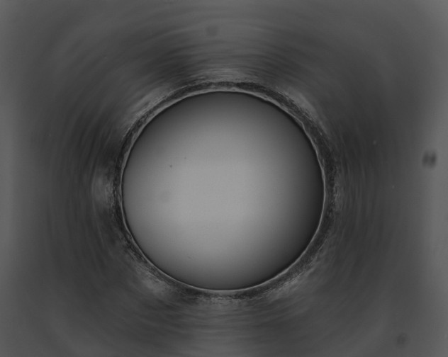 X0000091690873200708301538