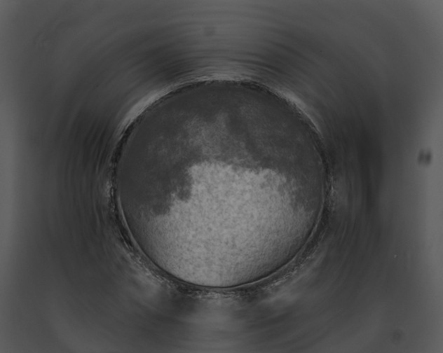 X0000091690874200708301538