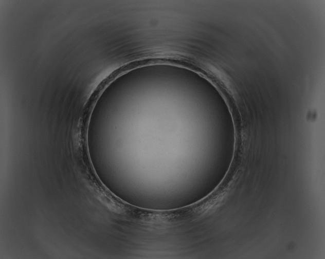 X0000091690875200708301538