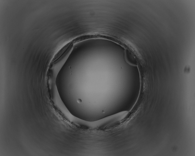 X0000091690876200708301538
