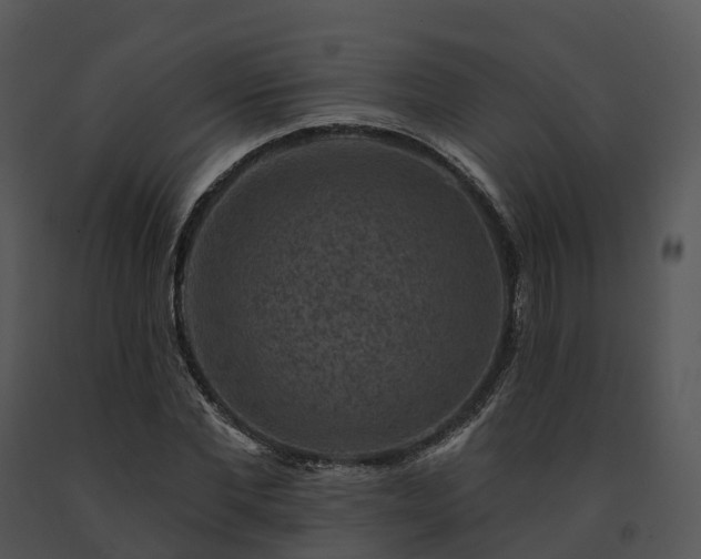 X0000091690877200708301538