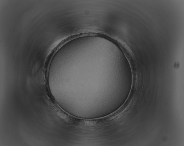 X0000091690878200708301538