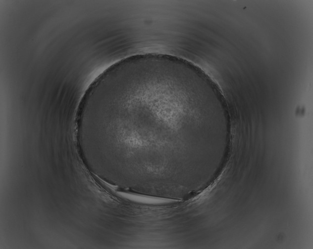 X0000091690879200708301538