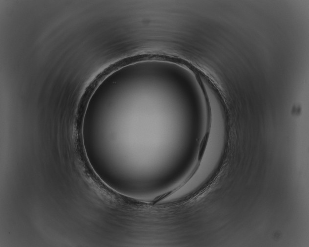 X0000091690880200708301538