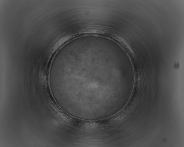 X0000091690882200708301538
