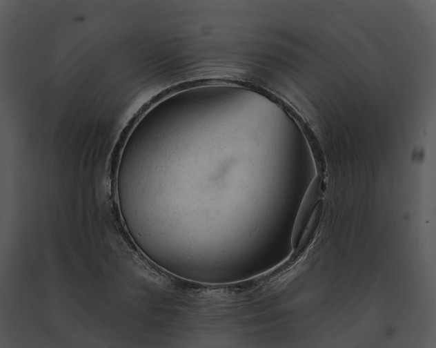 X0000091690883200708301538