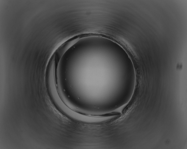 X0000091690884200708301538