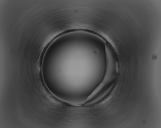 X0000091690885200708301538