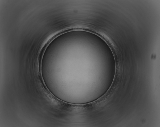 X0000091690886200708301538