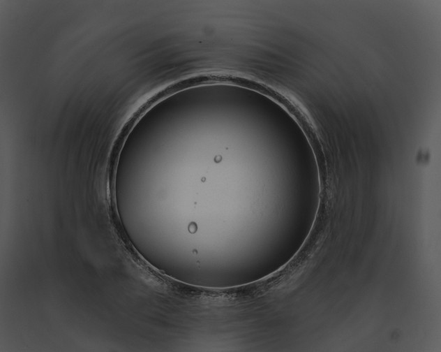 X0000091690887200708301538