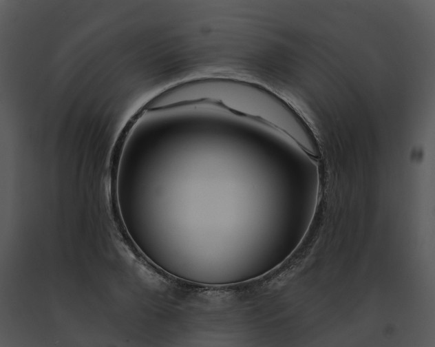 X0000091690888200708301538