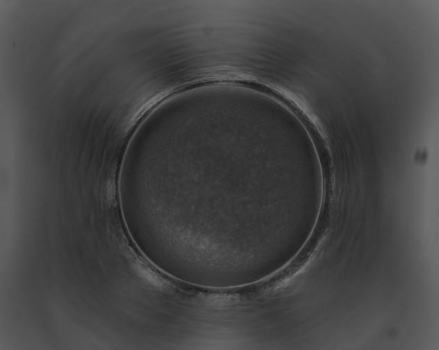 X0000091690889200708301538