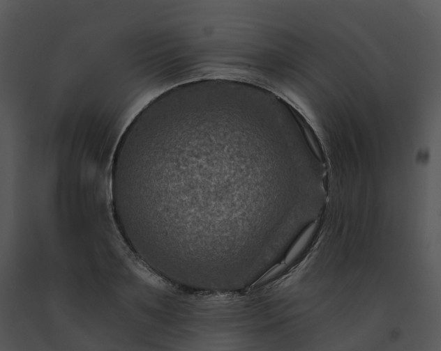 X0000091690891200708301538