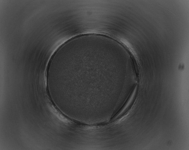 X0000091690892200708301538