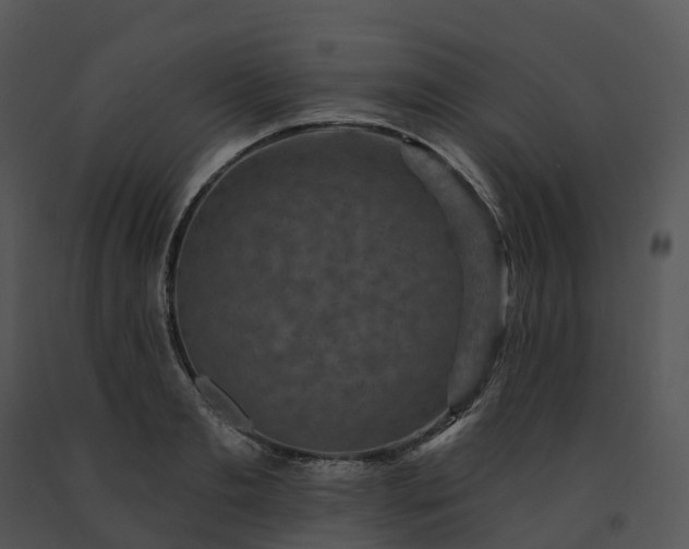 X0000091690893200708301538