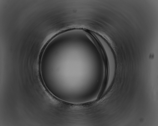 X0000091690894200708301538