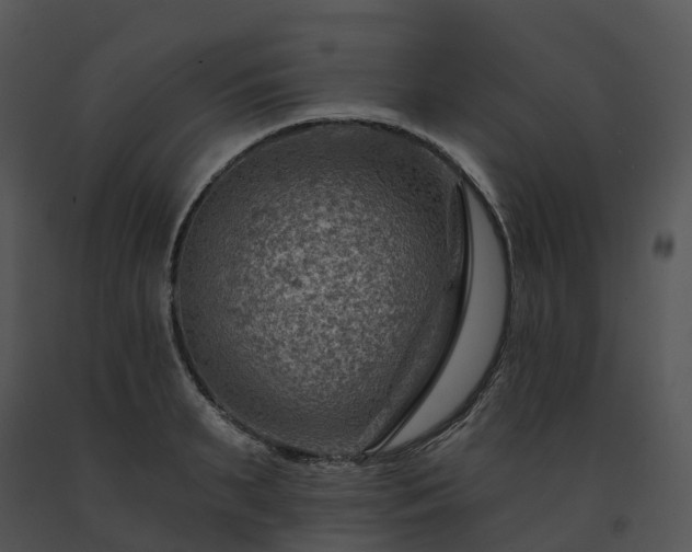 X0000091690895200708301538