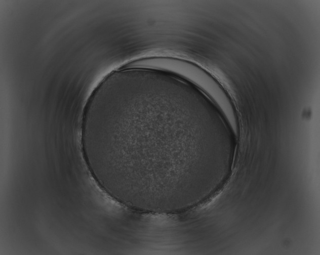 X0000091690896200708301538