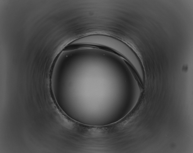 X0000091690898200708301538