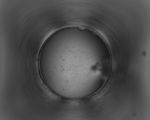 X0000091690899200708301538