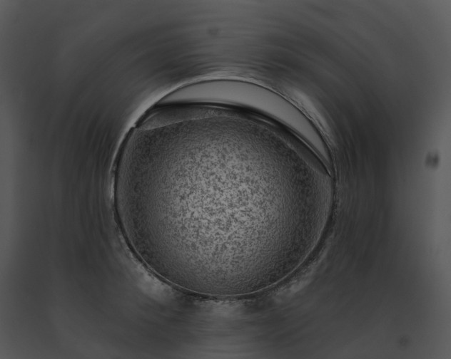 X0000091690900200708301538