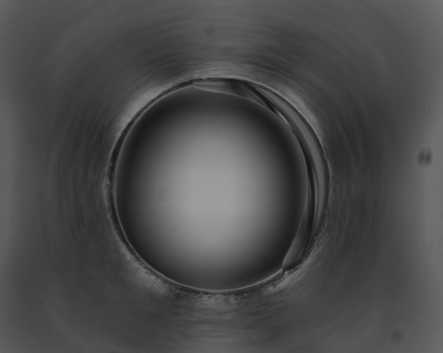 X0000091690901200708301538
