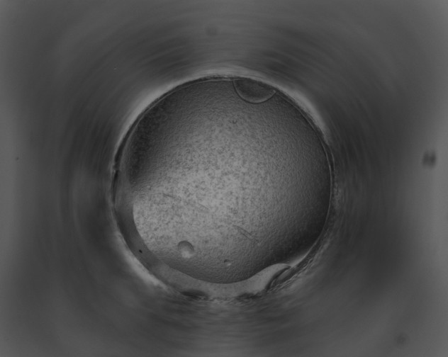 X0000091690903200708301538