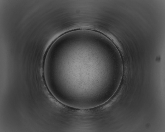 X0000091690904200708301538