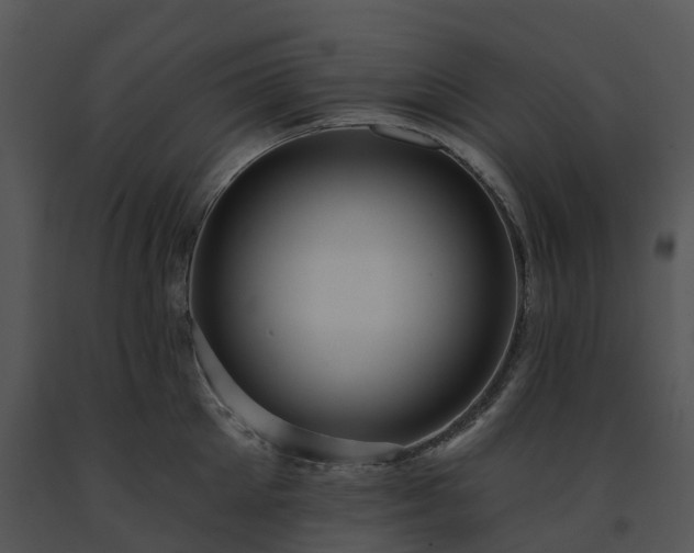 X0000091690905200708301538