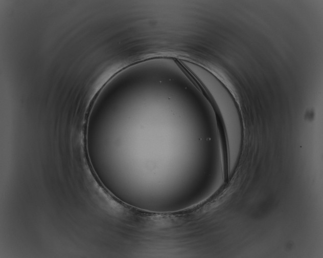 X0000091690906200708301538
