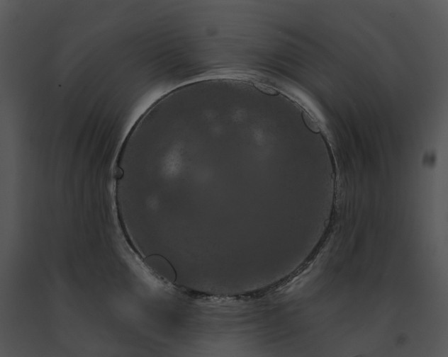X0000091690907200708301538
