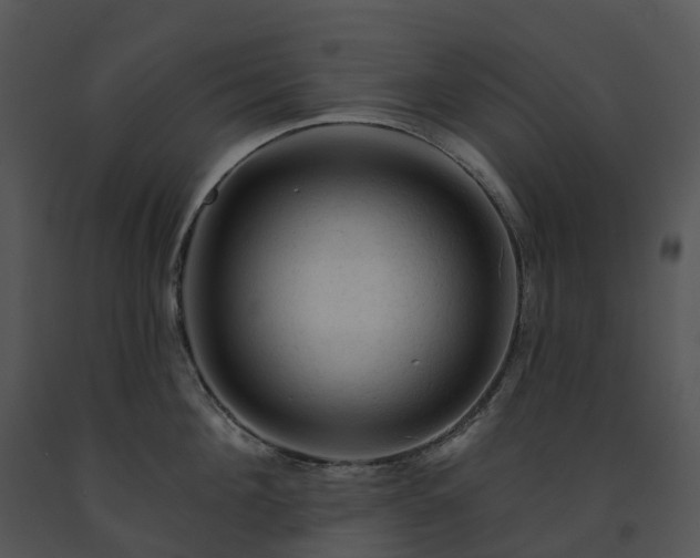 X0000091690908200708301538