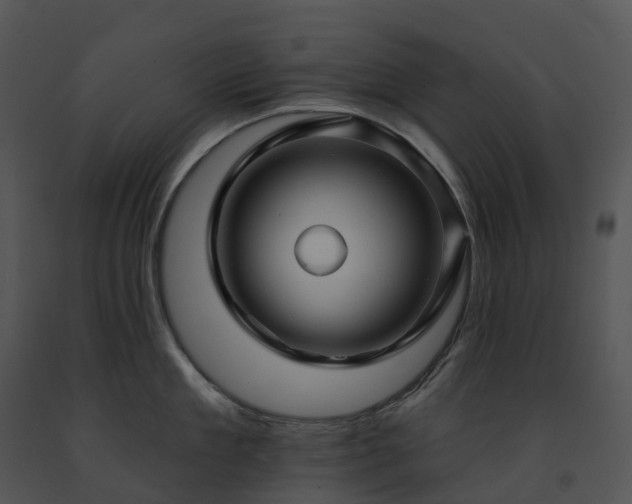 X0000091690909200708301538