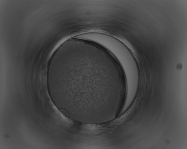 X0000091690910200708301538