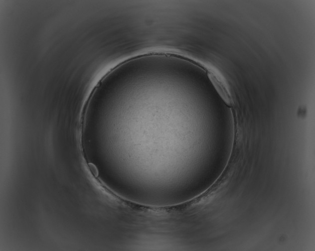 X0000091690911200708301538