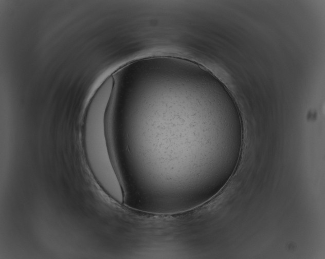 X0000091690912200708301538