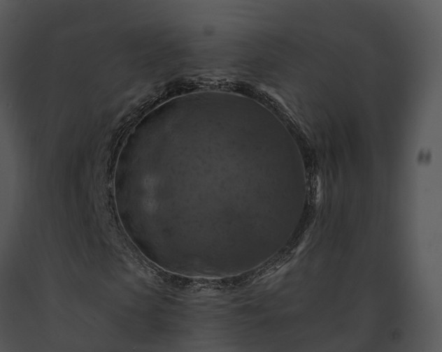 X0000091690913200708301537