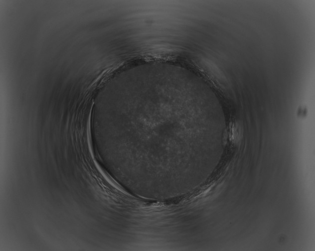 X0000091690915200708301537